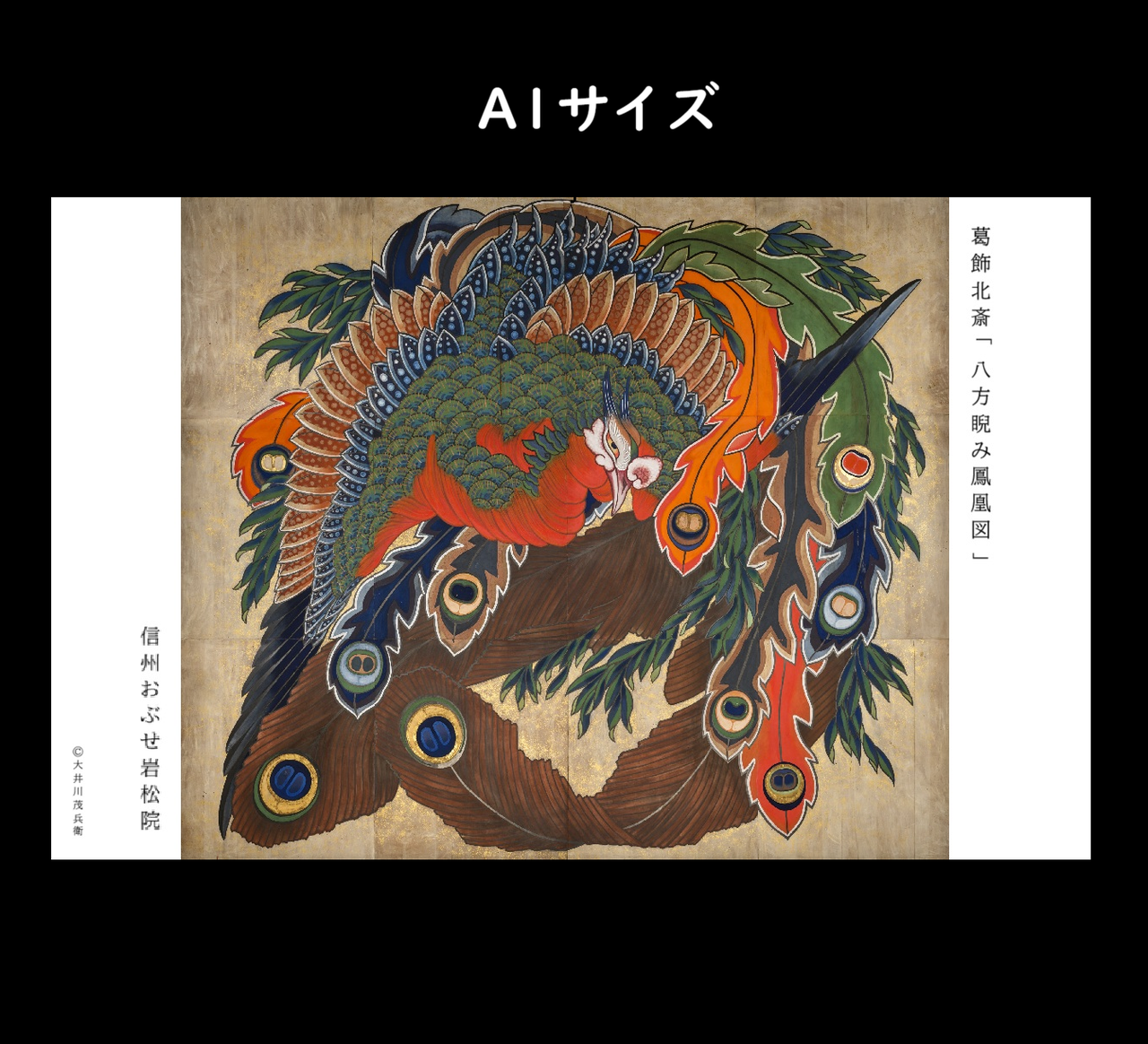 八方睨み鳳凰図 | 【公式】信州おぶせ梅洞山 岩松院
